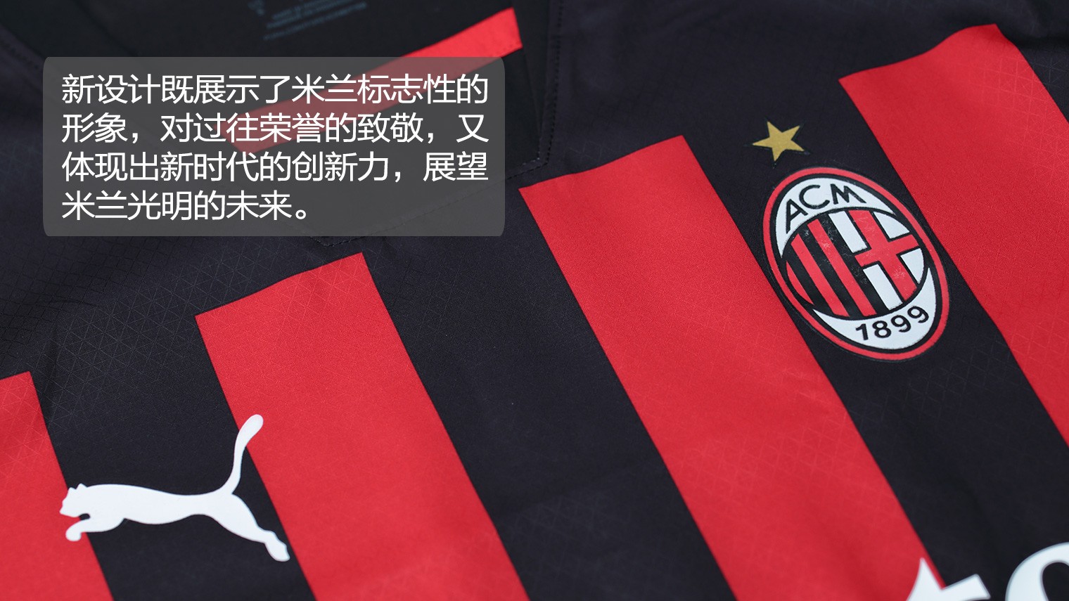 奏使小龙